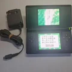 【美品】DS Lite クリムゾンブラック 純正充電器、オマケソフト付き