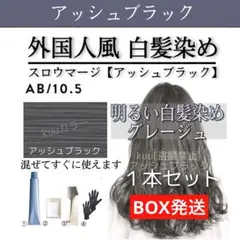 ヘアカラー 白髪染め AB【スロウ ホワイトブリーチ アルティスト同梱割有