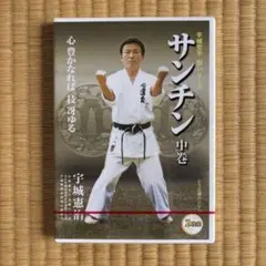 サンチン 中巻 DVD 2枚組