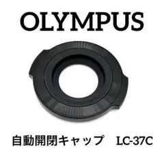 Item thumbnail for item 0adaa985-9dbe-4a3f-90d6-4b95dcb79446