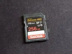 SanDisk SDXCカード 256GB