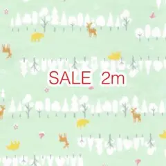 SALE 2m 北欧の森 グリーン オックス