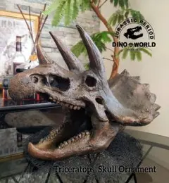 【DINOWORLD】トリケラトプス 頭骨レプリカ 化石 ジュラシックワールド