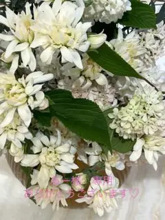 再値下げ☆CHANEL☆リボン4点セット