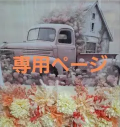 専用ページ・フトアゴちゃんキーホルダー
