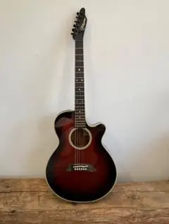 2025年最新】takamine pt 106の人気アイテム - メルカリ