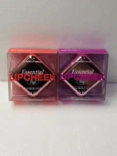 Item thumbnail for item 533235ee-0175-4e01-850d-f0ca6ccc923f