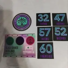 千葉ロッテマリーンズ　BSW 限定 ステッカー シール