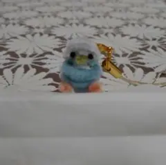 モール ちびちびセキセイインコ ストラップ