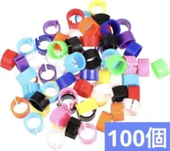 Item thumbnail for item 608f10df-42aa-481f-a792-8126bcb54051
