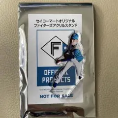 ファイターズ　セコマアクスタ　加藤選手