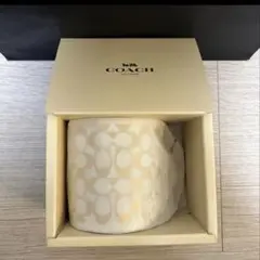 Item thumbnail for item b8762d0c-f89e-4271-b001-af1d76ab03bd