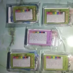 馬券ホルダー【高松宮記念】5点セット