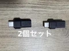 CIO USB-Cマグネット変換アダプタ ストレート ブラック 2個セット