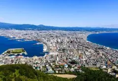 M58 昼の函館山/北海道/日本の風景/アートパネル