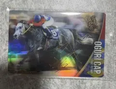 オグリキャップ　武豊騎手　金箔サインカード