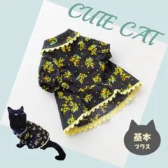 Item thumbnail for item 2a156822-0c68-4eec-a8a1-fad38e7255e3