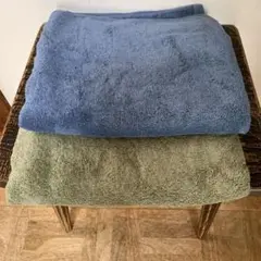 Item thumbnail for item e886c660-4a6e-40d5-bad0-384eb07bc85a