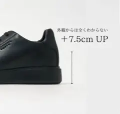 standool tokyo SAI BLACK