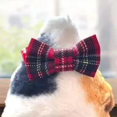 クラシカルタータンチェック・レッド2way猫の首輪(A)