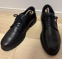 【極美品】 アシックス ランウォーク ビジネスシューズ ドレスシューズ 25.5