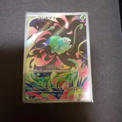５枚セット