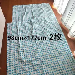 Item thumbnail for item 768c678c-6441-4faa-accc-782ff3323357