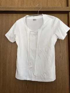 Item thumbnail for item 66254ef7-29a6-41d2-92df-09a122dae7fa