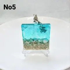 小さな海 海亀 サンゴ砂 ヒトデ No5