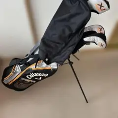 Item thumbnail for item 5883ce95-2bc7-4edd-a015-dd2c4ca3af9c