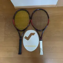 SNAUWAERT GRINTA 98 2本セット