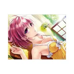 ToLOVEる展 限定販売 キャンバスアート F6サイズ 春菜・ララ 2025年最新】toloveる 原画展 キャンパスの人気アイテム - メルカリ