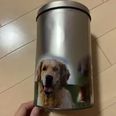 缶のみ 空き缶 実写 犬 ゴールデンレトリバー バーニーズ・マウンテン・ドッグ