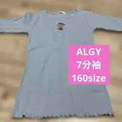 アルジー ALGY 7分袖 トップス 160 みずいろ 女の子 キッズ シンプル