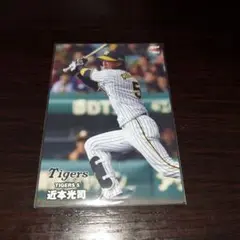 2024カルビープロ野球チップスカード 近本光司カード062