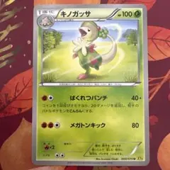 ポケモンカード XY5 キノガッサ ばくれつパンチ メガトンキック 2014