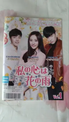 韓国ドラマ「私の心は花の雨」全43巻