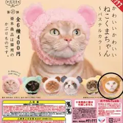 Item thumbnail for item 99497893-8813-4539-ab9d-fd668de44dc4