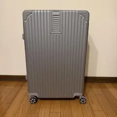 スーツケース キャリーケース キャリーバッグ シルバー グレー マット Lサイズ