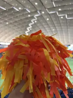 青春ジャイアンツの来場特典でもらったポンポン