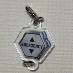エヴァンゲリオン アクリルチャーム　保留(通常) 未来への咆哮