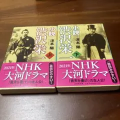 小説 渋沢栄一 上