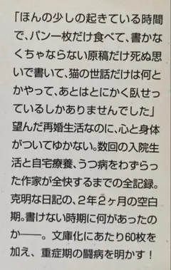 【文庫本】 再婚生活 私のうつ闘病日記