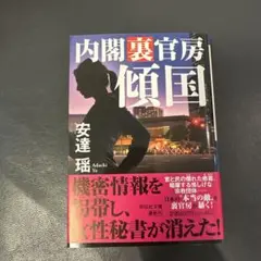 内閣裏官房傾国 安達瑶