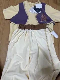 【新品、未使用】バースデイ　コトリ　アラジン100