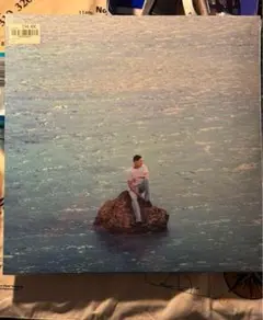 レコード　見本盤　白ラベル　細野晴臣　トロピカル・ダンディー　LP　送料込み レコード 見本盤 白ラベル 細野晴臣 トロピカル・ダンディー LP