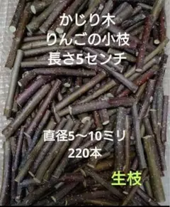 Item thumbnail for item e4d95c23-f906-4df5-98b2-0a46eaf10bbf