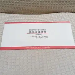 タイムセール 日本マクドナルド株主優待券2023年3月31日閉店まで1冊6枚