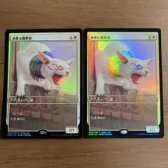 【MTG】典雅な襲撃者　foil　2枚セット
