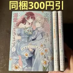 「きみを愛する気はない」と言った次期公爵様がなぜか溺愛してきます 1から3